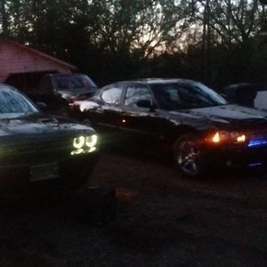 Meet your Posher, Bobby